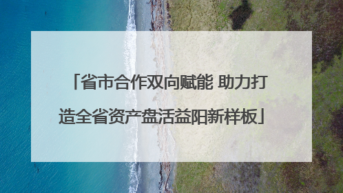省市合作双向赋能 助力打造全省资产盘活益阳新样板
