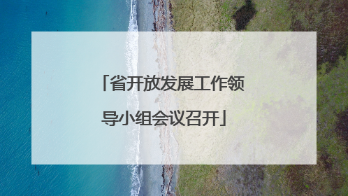 省开放发展工作领导小组会议召开