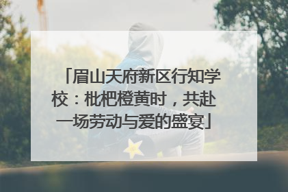 眉山天府新区行知学校：枇杷橙黄时，共赴一场劳动与爱的盛宴