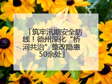 筑牢汛期安全防线！德州深化“桥河共治”整改隐患50余处