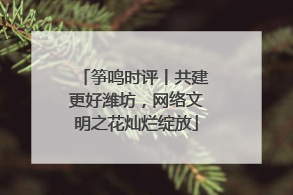筝鸣时评丨共建更好潍坊，网络文明之花灿烂绽放