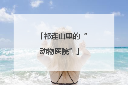 祁连山里的“动物医院”