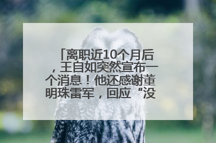 离职近10个月后，王自如突然宣布一个消息！他还感谢董明珠雷军，回应“没看过格力工资条”：真的不那么重要！