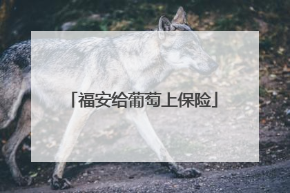 福安给葡萄上保险