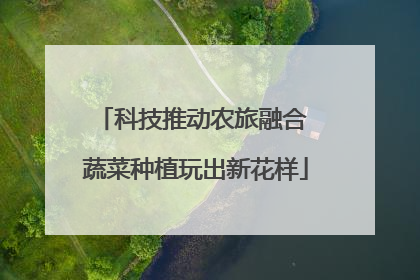 科技推动农旅融合 蔬菜种植玩出新花样