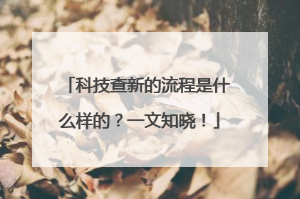 科技查新的流程是什么样的？一文知晓！