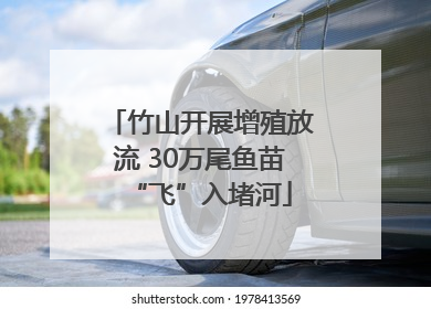 竹山开展增殖放流 30万尾鱼苗“飞”入堵河