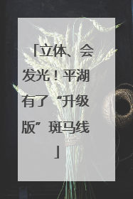 立体、会发光！平湖有了“升级版”斑马线