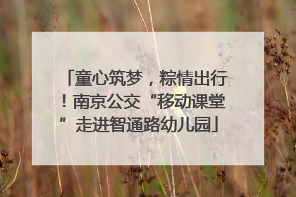 童心筑梦，粽情出行！南京公交“移动课堂”走进智通路幼儿园