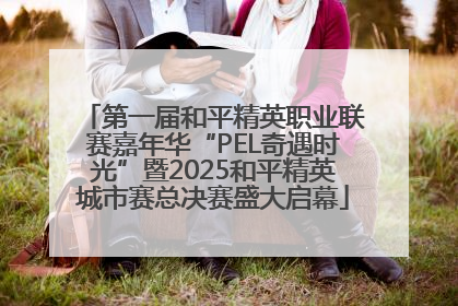 第一届和平精英职业联赛嘉年华“PEL奇遇时光”暨2025和平精英城市赛总决赛盛大启幕