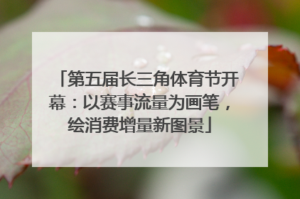 第五届长三角体育节开幕：以赛事流量为画笔，绘消费增量新图景