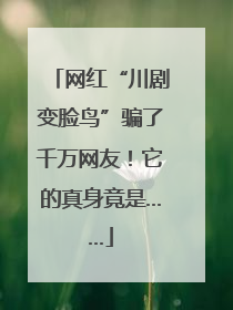 网红“川剧变脸鸟”骗了千万网友！它的真身竟是……