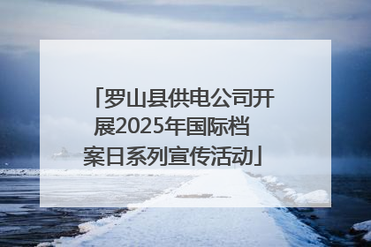 罗山县供电公司开展2025年国际档案日系列宣传活动