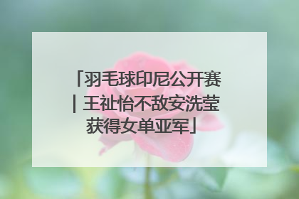 羽毛球印尼公开赛｜王祉怡不敌安洗莹 获得女单亚军