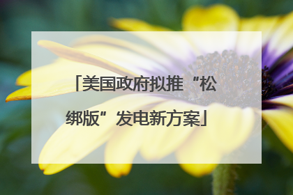 美国政府拟推“松绑版”发电新方案