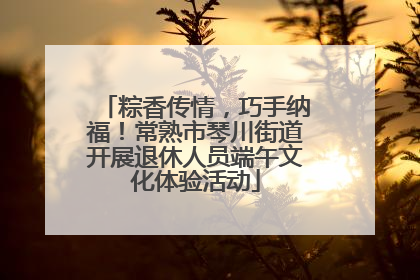 粽香传情，巧手纳福！常熟市琴川街道开展退休人员端午文化体验活动