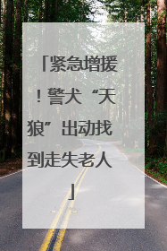 紧急增援！警犬“天狼”出动找到走失老人