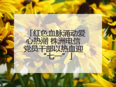 红色血脉涌动爱心热潮 株洲电信党员干部以热血迎“七一”