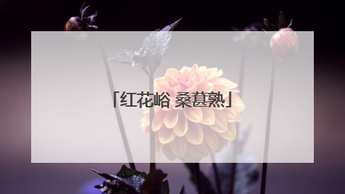 红花峪 桑葚熟