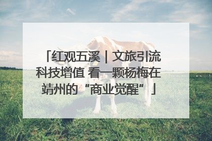 红观五溪｜文旅引流 科技增值 看一颗杨梅在靖州的“商业觉醒”