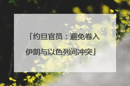 约旦官员：避免卷入伊朗与以色列间冲突