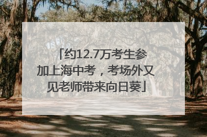约12.7万考生参加上海中考，考场外又见老师带来向日葵
