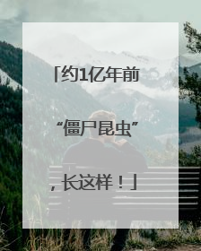 约1亿年前“僵尸昆虫”，长这样！