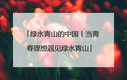 绿水青山的中国丨当青春理想遇见绿水青山