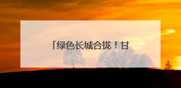 绿色长城合拢！甘肃民勤380公里锁边林带缚住沙海