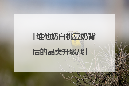 维他奶白桃豆奶背后的品类升级战