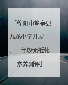 绵阳市盐亭县九龙小学开展一、二年级无纸化素养测评