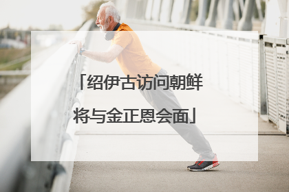 绍伊古访问朝鲜 将与金正恩会面