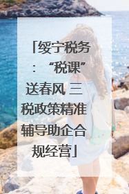绥宁税务：“税课”送春风 三税政策精准辅导助企合规经营