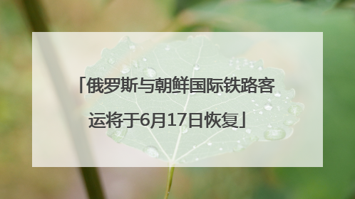 俄罗斯与朝鲜国际铁路客运将于6月17日恢复