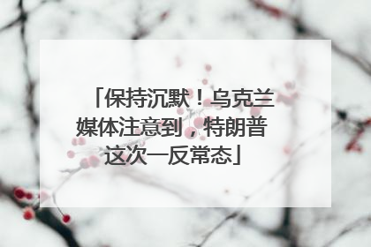 保持沉默！乌克兰媒体注意到，特朗普这次一反常态