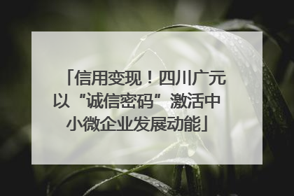 信用变现！四川广元以“诚信密码”激活中小微企业发展动能