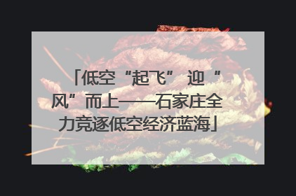 低空“起飞” 迎“风”而上——石家庄全力竞逐低空经济蓝海
