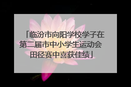 临汾市向阳学校学子在第二届市中小学生运动会田径赛中喜获佳绩
