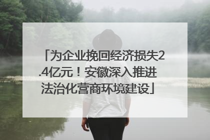 为企业挽回经济损失2.4亿元！安徽深入推进法治化营商环境建设