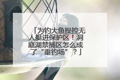 为钓大鱼操控无人艇进保护区！洞庭湖禁捕区怎么成了“垂钓场”？