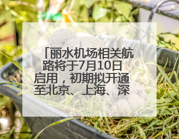 丽水机场相关航路将于7月10日启用，初期拟开通至北京、上海、深圳、贵阳航线