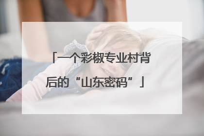 一个彩椒专业村背后的“山东密码”