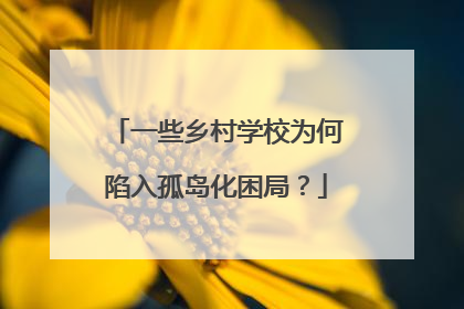 一些乡村学校为何陷入孤岛化困局？