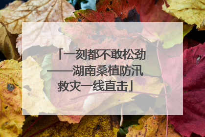一刻都不敢松劲——湖南桑植防汛救灾一线直击