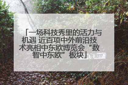 一场科技秀里的活力与机遇 近百项中外前沿技术亮相中东欧博览会“数智中东欧”板块