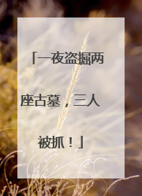一夜盗掘两座古墓，三人被抓！