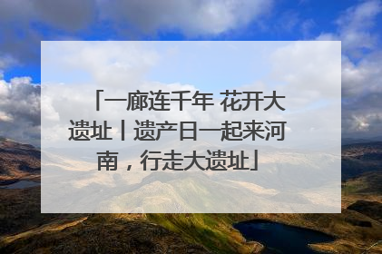 一廊连千年 花开大遗址丨遗产日一起来河南，行走大遗址