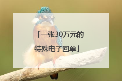 一张30万元的特殊电子回单