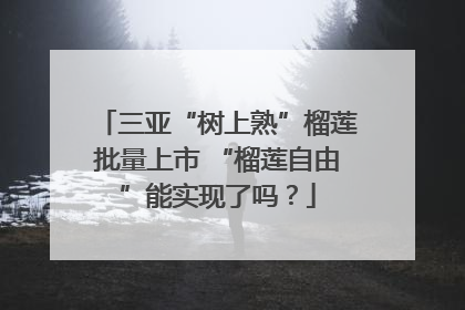 三亚“树上熟”榴莲批量上市 “榴莲自由”能实现了吗？
