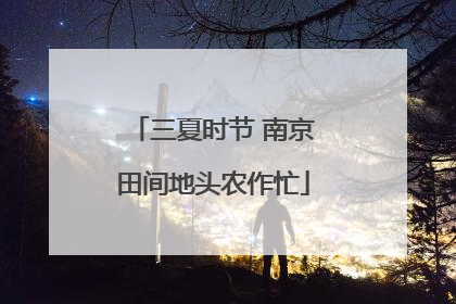 三夏时节 南京田间地头农作忙